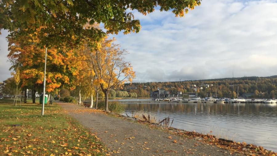 Fina promenadstråk längs Södra sundet